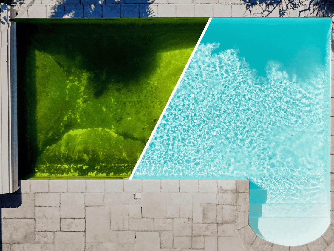 Algues-verte-avant-apres_Gallery.png