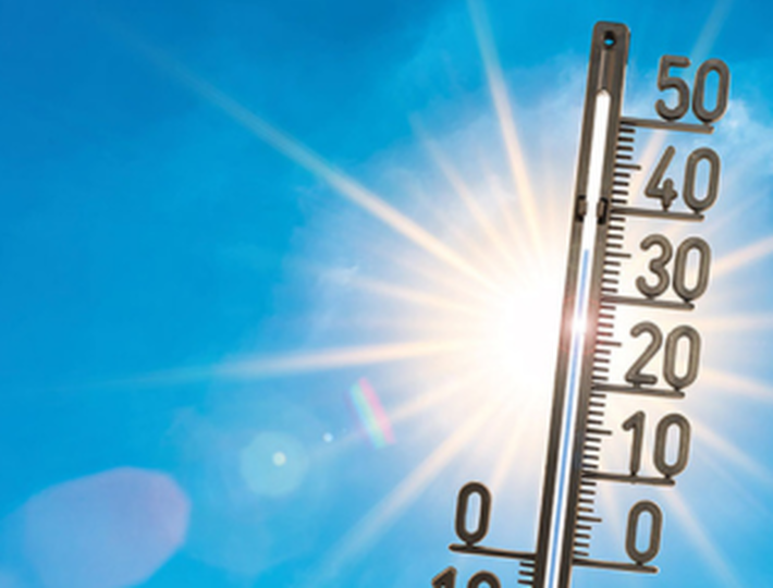 canicule
